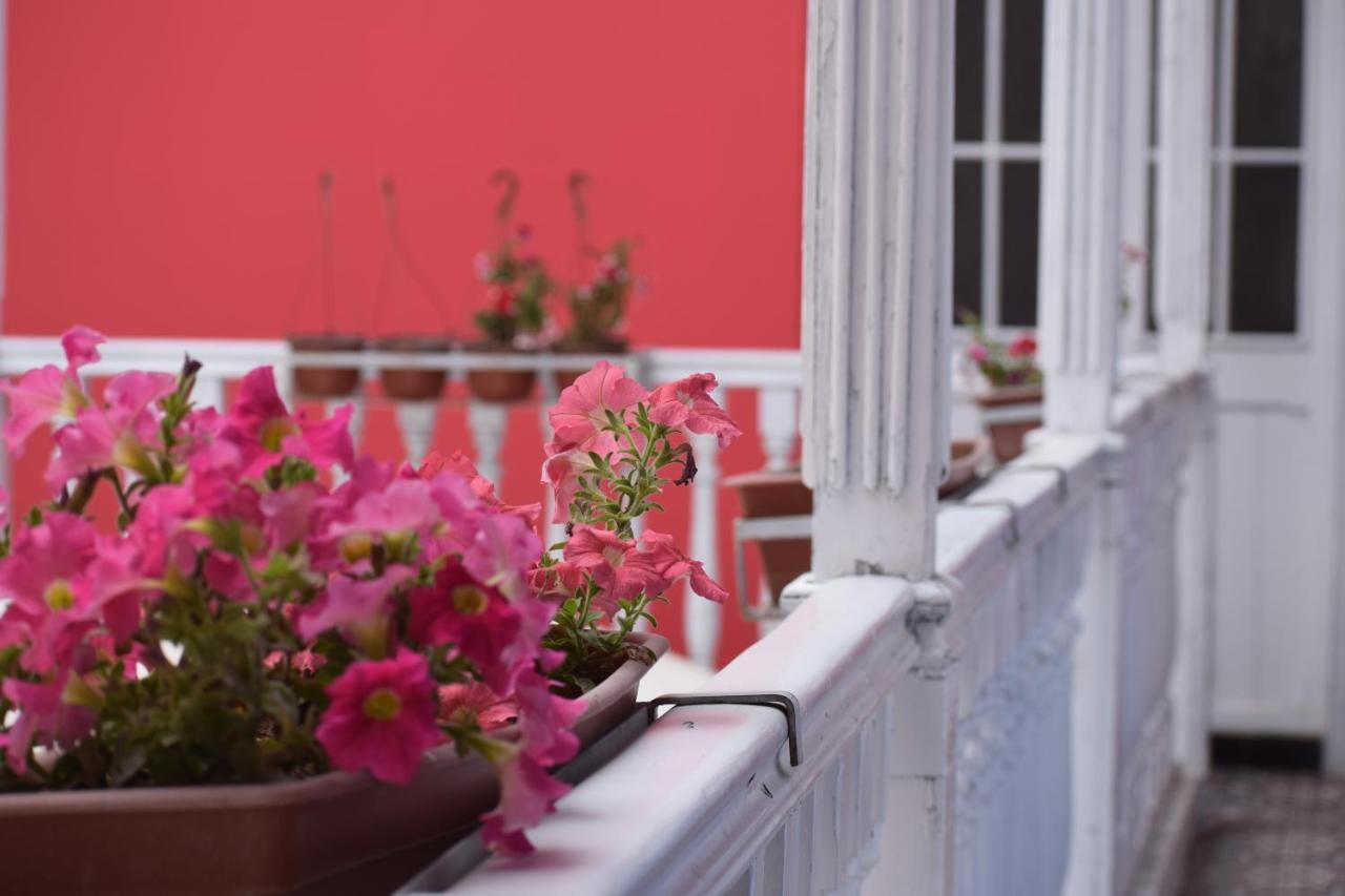 Mango Hostel B&B Арекуипа Екстериор снимка